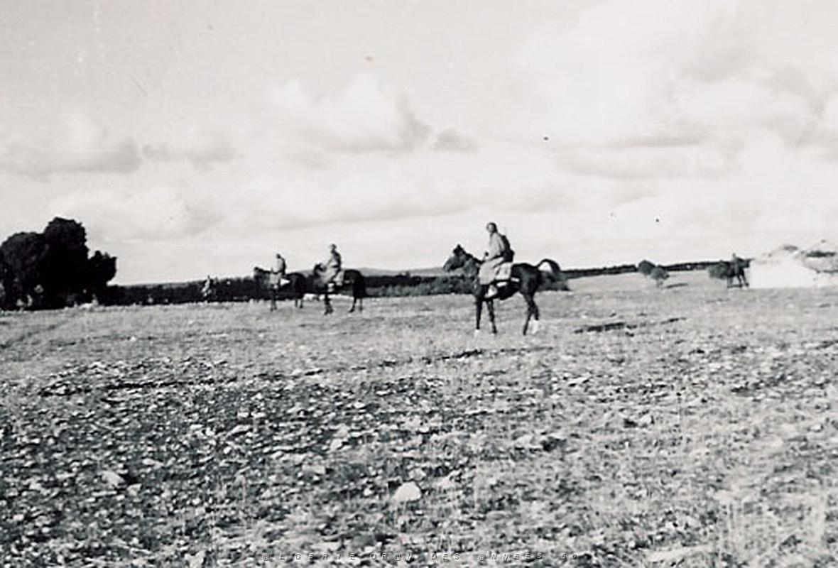 Hussards-HARKA 2.jpg